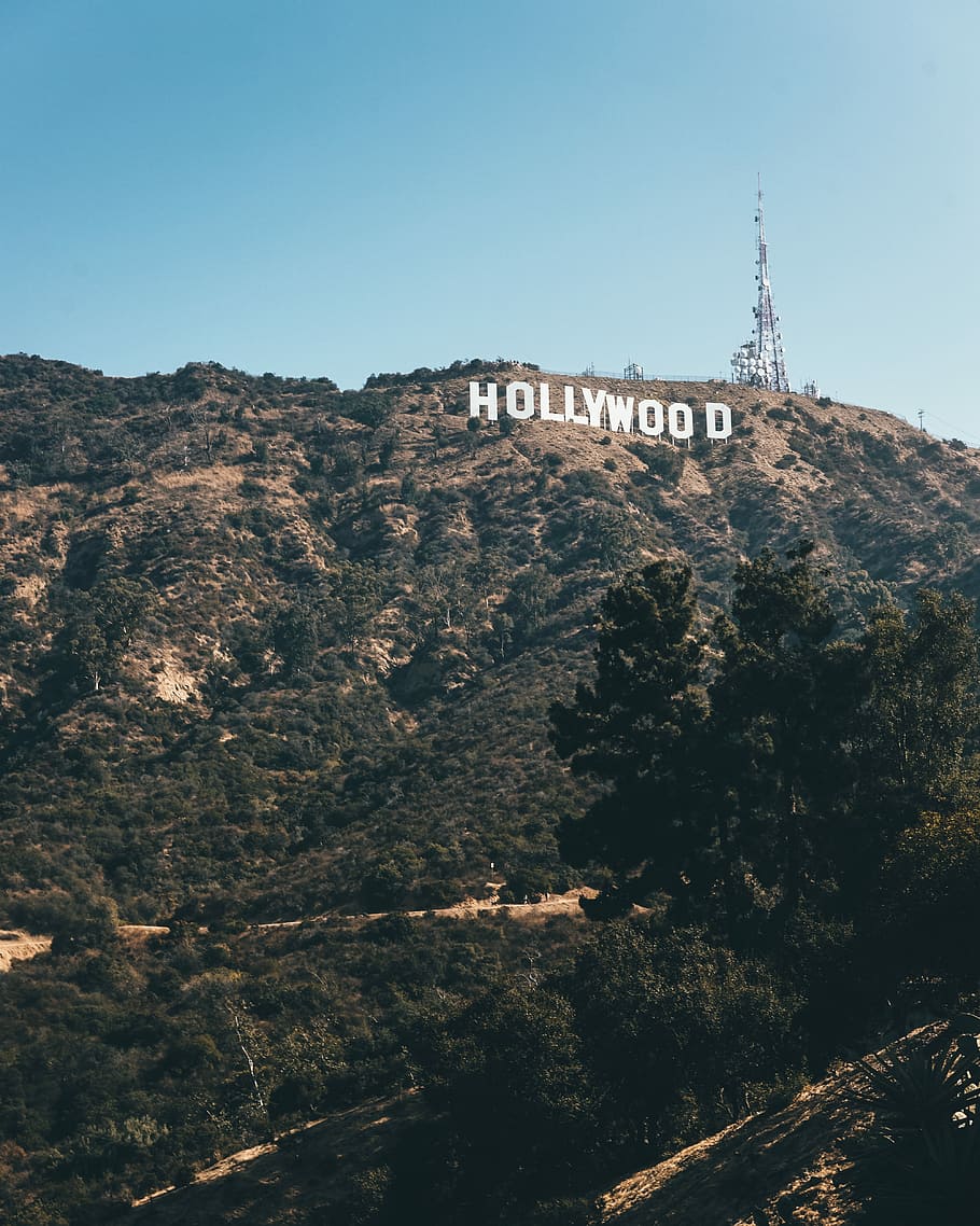 Hd Wallpaper Hollywood Hollywood Sign During Daytime Mountain