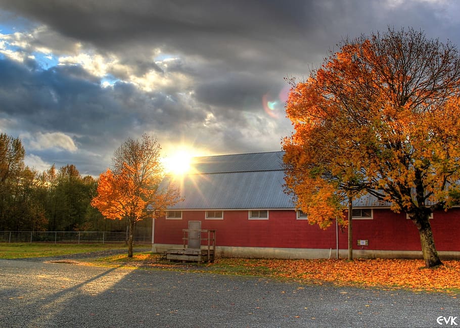 barn, red, sunset, clouds, campbell, valley, park, autumn, tree HD wallpaper