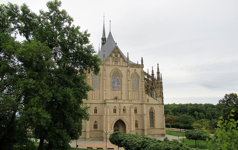 czech republic, kutna-hora, cathedral of st barbara, tree, plant, HD wallpaper