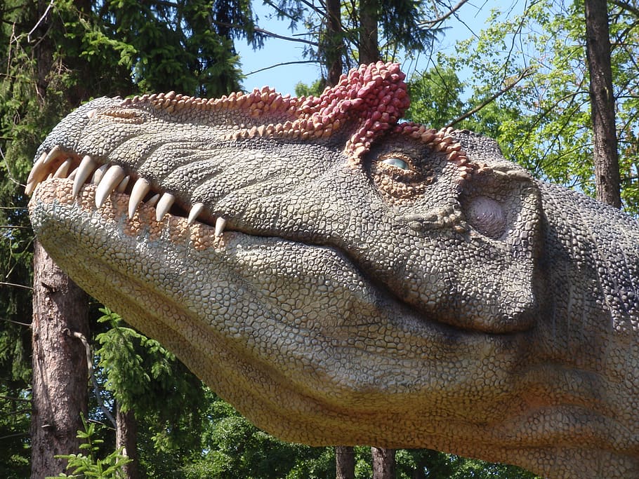 dinosaur, head, teeth, extinct, maquette, model, animal themes HD wallpaper