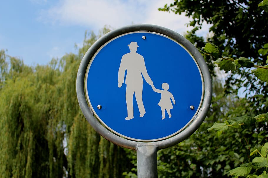 pedestrian, walk, shield, lake constance, arbon, tree, plant HD wallpaper