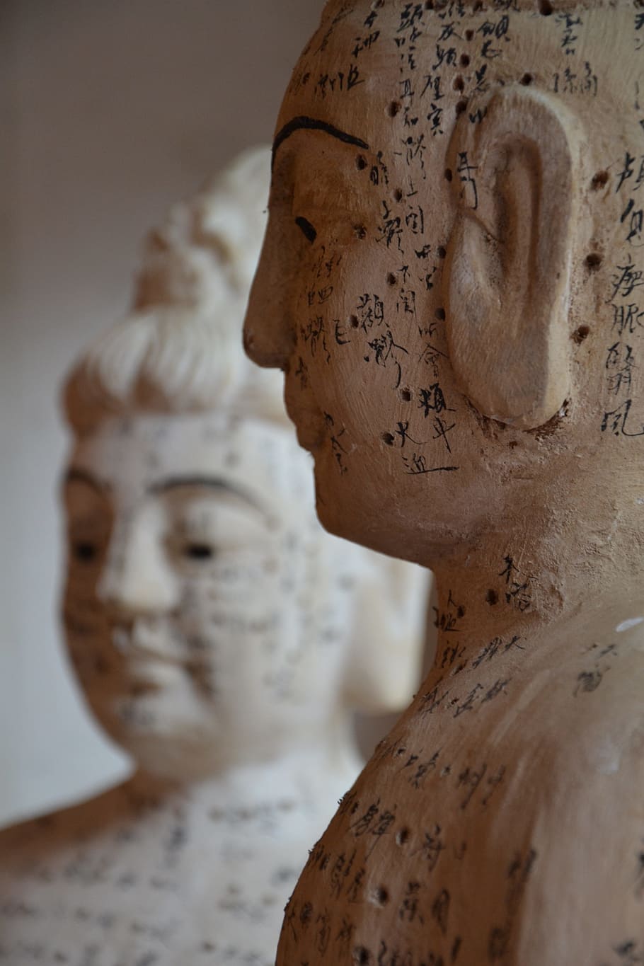 two statues with kanji script, acupuncture, tcm, chinese medicine