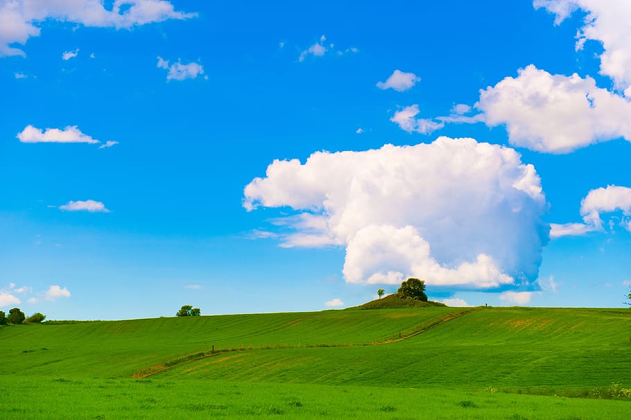 mark, green, clouds, blue sky, summer, horizon, landscape, denmark HD wallpaper