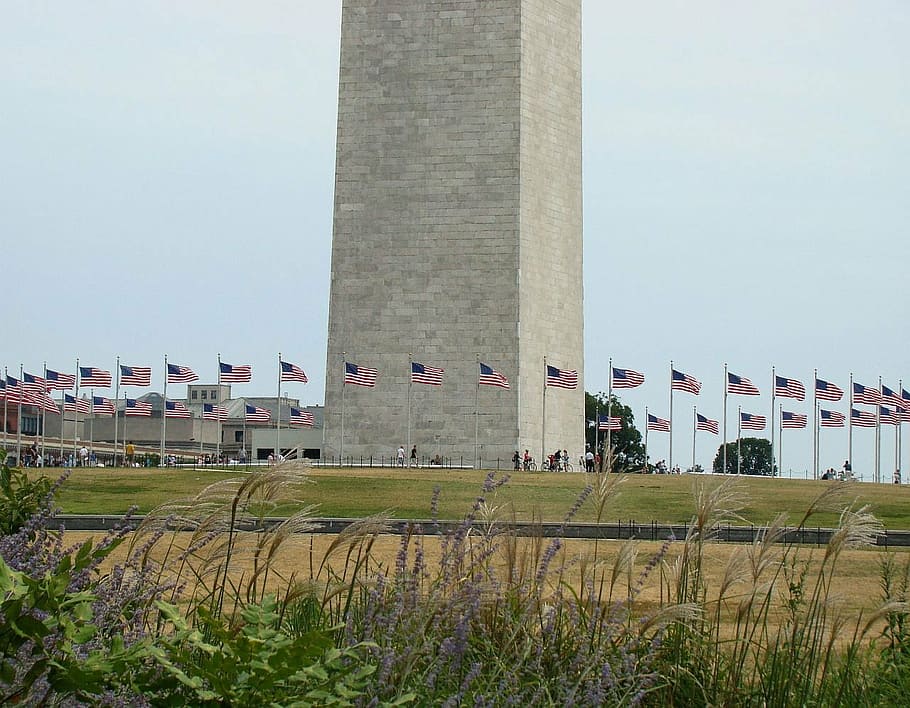 flags, monument, washington, flowers, people, building, sky HD wallpaper