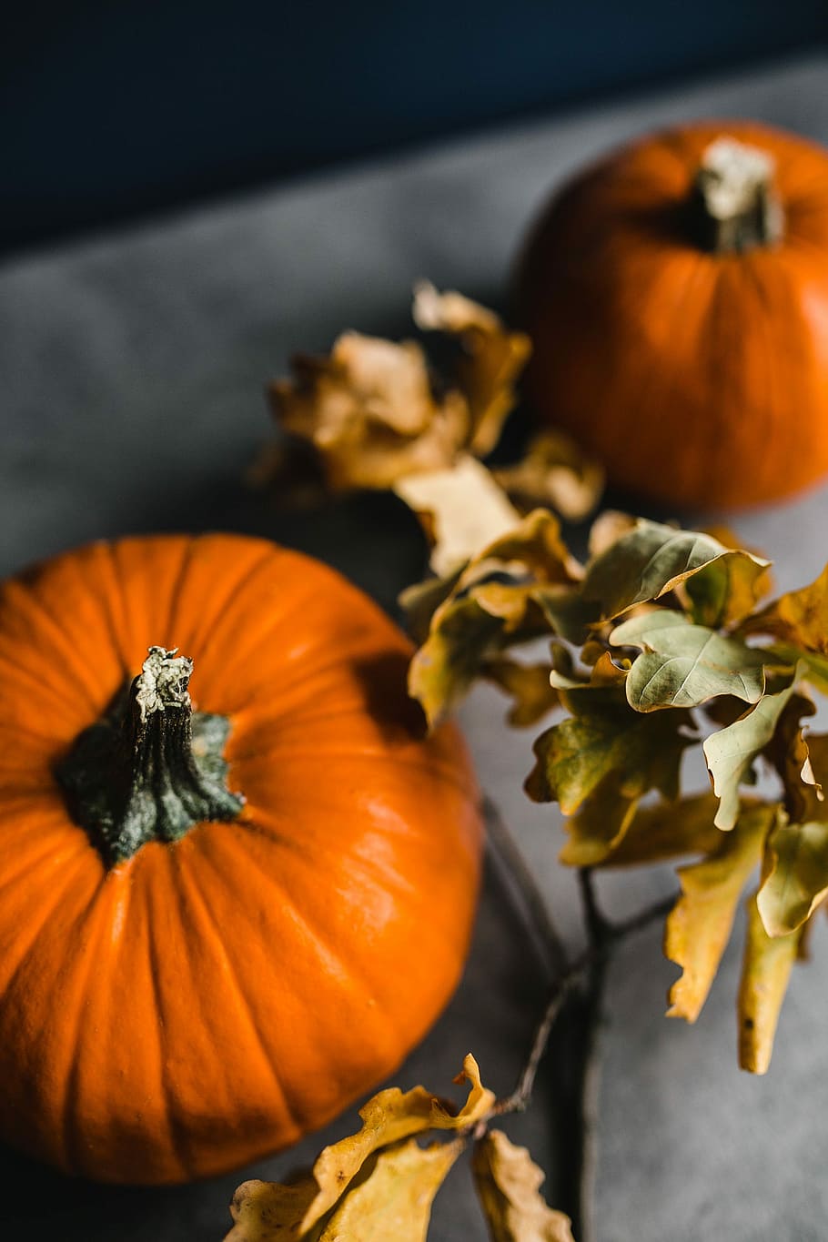 Autumn Pumpkin, fall, halloween, thanksgiving, orange Color, season, HD wallpaper