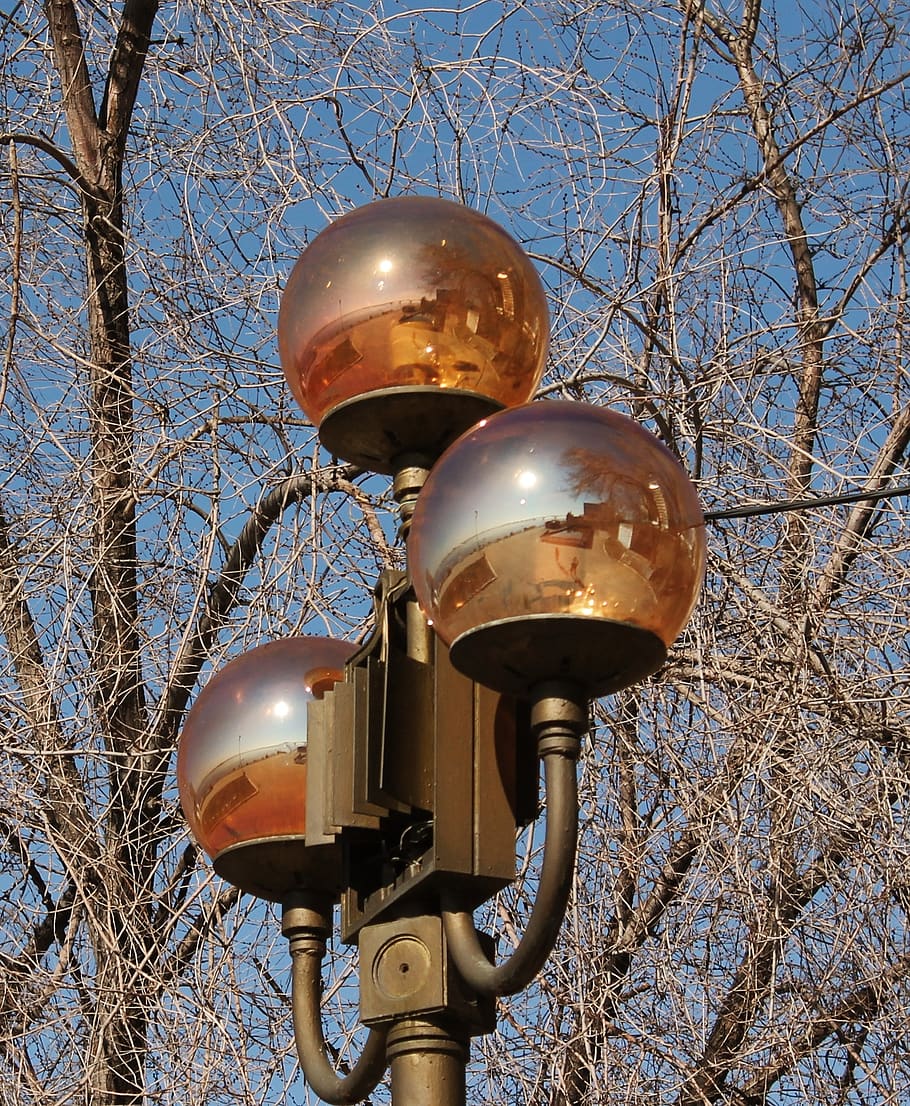 lantern, ball, light, low angle view, tree, lighting equipment HD wallpaper