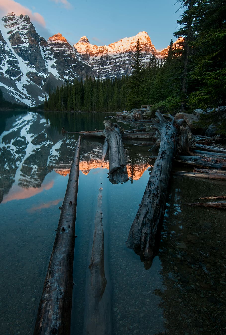 trees at lagoon with snow-capped mountains background at daytime, logs on shore with view of snow covered mountain during daytime HD wallpaper