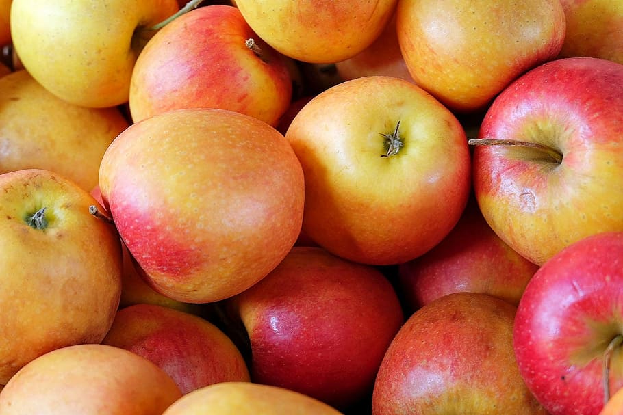 bunch of red apples, ripe, sweet, delicious, food, fruit, freshness HD wallpaper