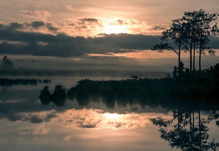 sky, tree, natural, sun, tranquility, sunset, cloud - sky, scenics - nature HD wallpaper