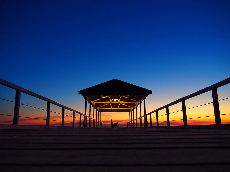 silhouette of cat standing on boat dock, low angle photography of dock during golden hour HD wallpaper