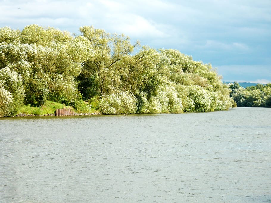 river, river landscape, water, flow, nature, scenic, bank, light, HD wallpaper