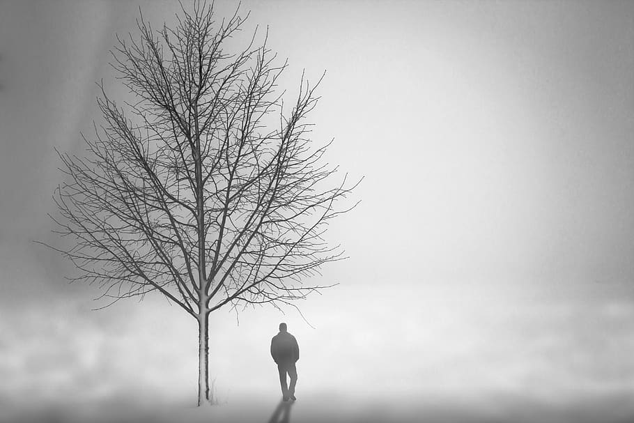 background, black, white, texture, drink, dark, beverage, nature HD wallpaper