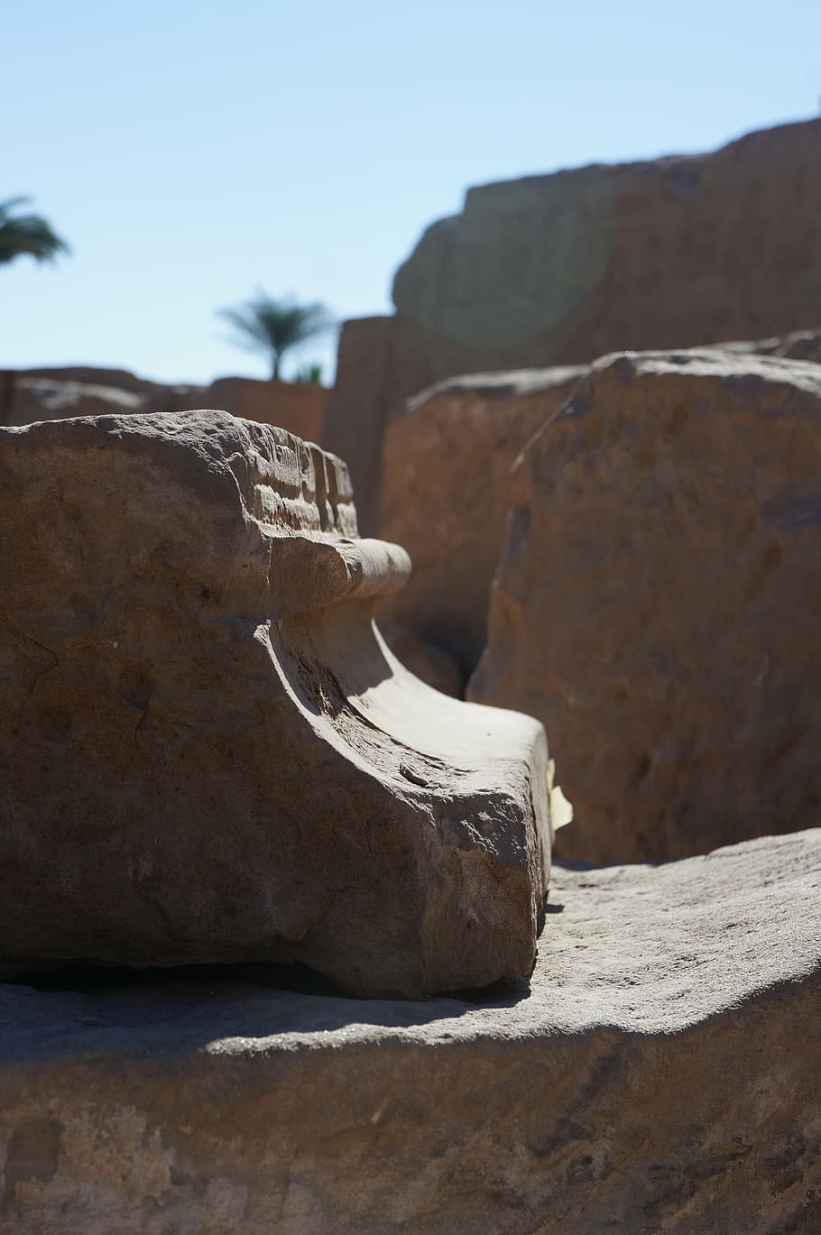 stone, profile, old, wall stone, egypt, temple, plant, sun HD wallpaper