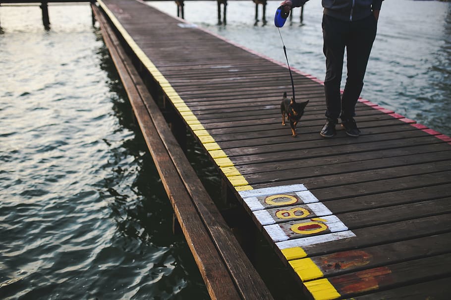 evening, walk, walking, dog, animal, pier, water, lake, man HD wallpaper