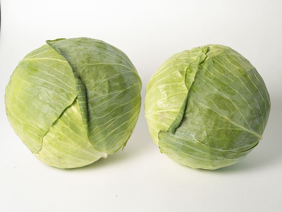white, cabbage, greens, studio shot, food and drink, healthy eating HD wallpaper