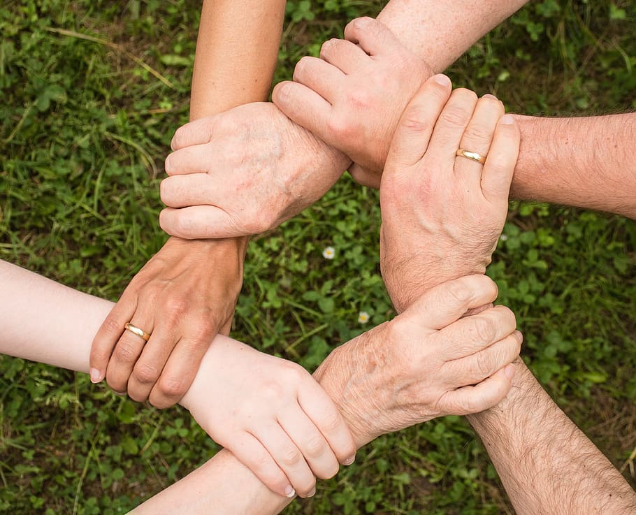 hands, people, ground, group, growth, holding hands, human, outdoors HD wallpaper