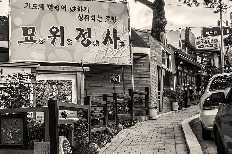 people, street, stock, monochrome, korea, communication, architecture, HD wallpaper