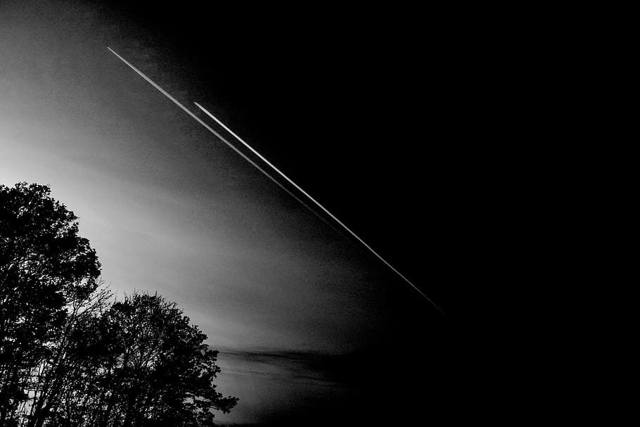 Weis, Aircraft, Forest, Art, black, abstract, sky, tree, dark HD wallpaper