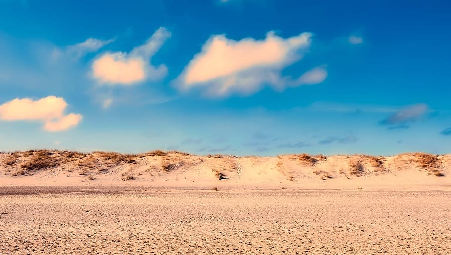 landscape photography of desert, sand, sand dune, beach, seashore HD wallpaper