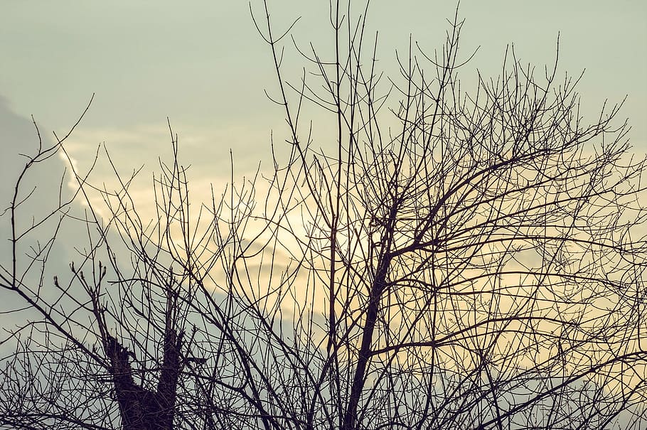 sunset, clouds, pretty, beautiful, sky, golden light, silhouette HD wallpaper