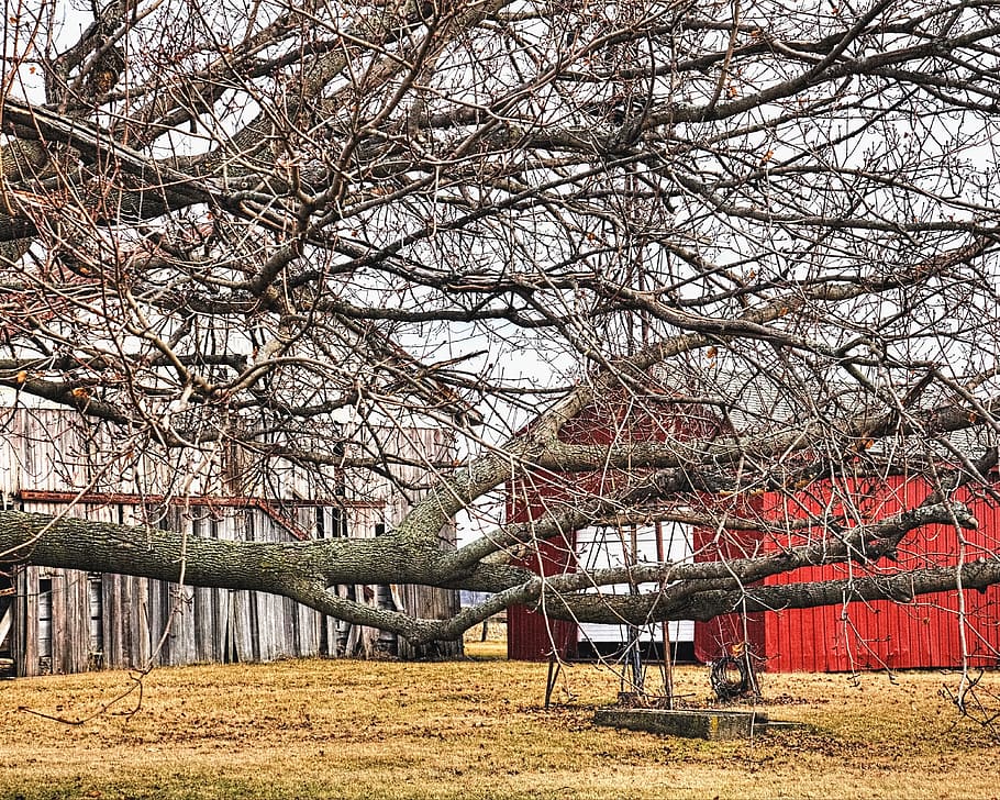 barn, rustic, barns, ohio, digital art, rural, scenic, country HD wallpaper
