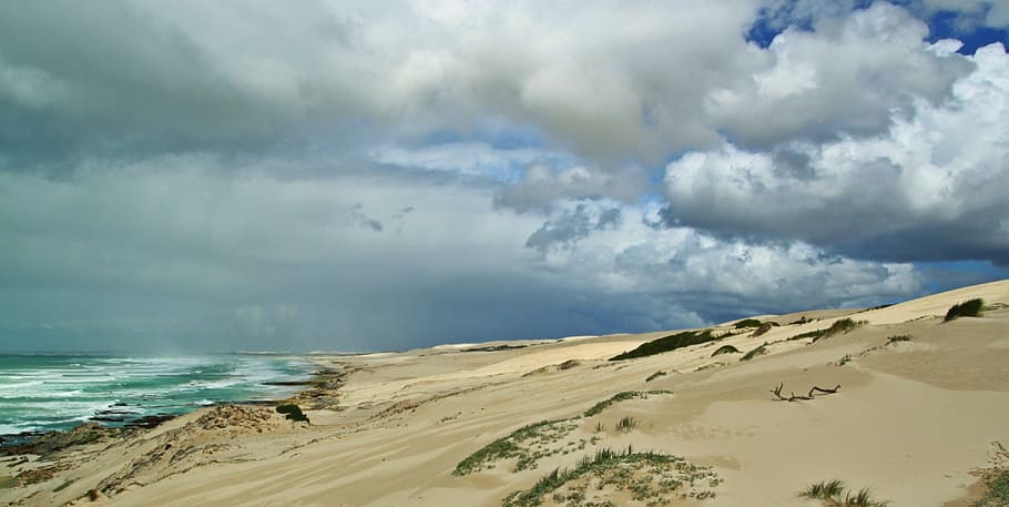 sea shore under white clouds during daytime, dunes, sand beach HD wallpaper