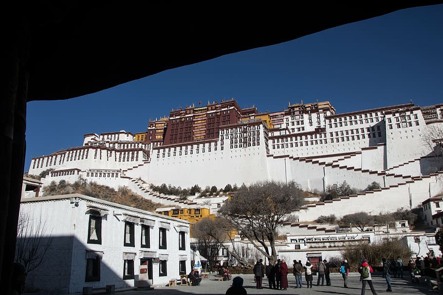 Visit In Tibet For the Natural Beauty And Wildlife