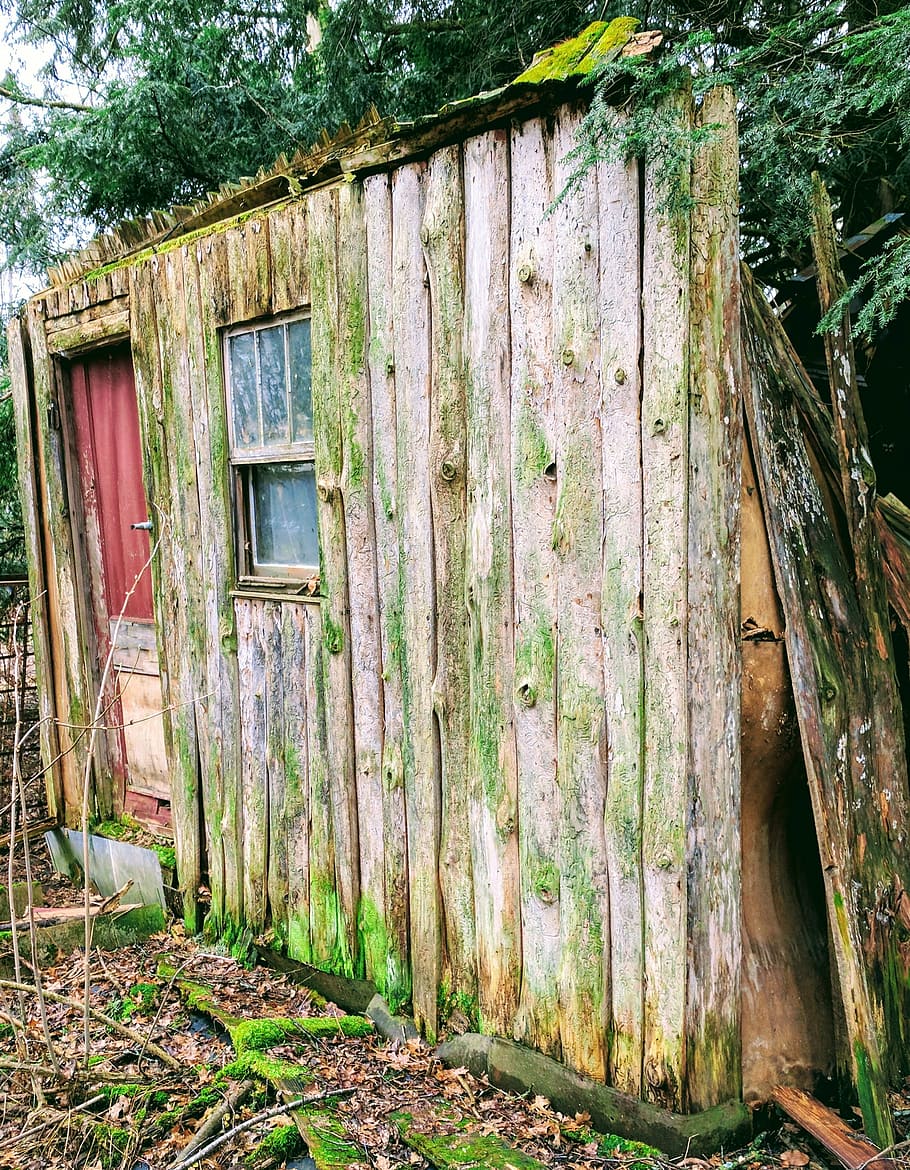 cabin, old, nature, moss, architecture, built structure, tree HD wallpaper