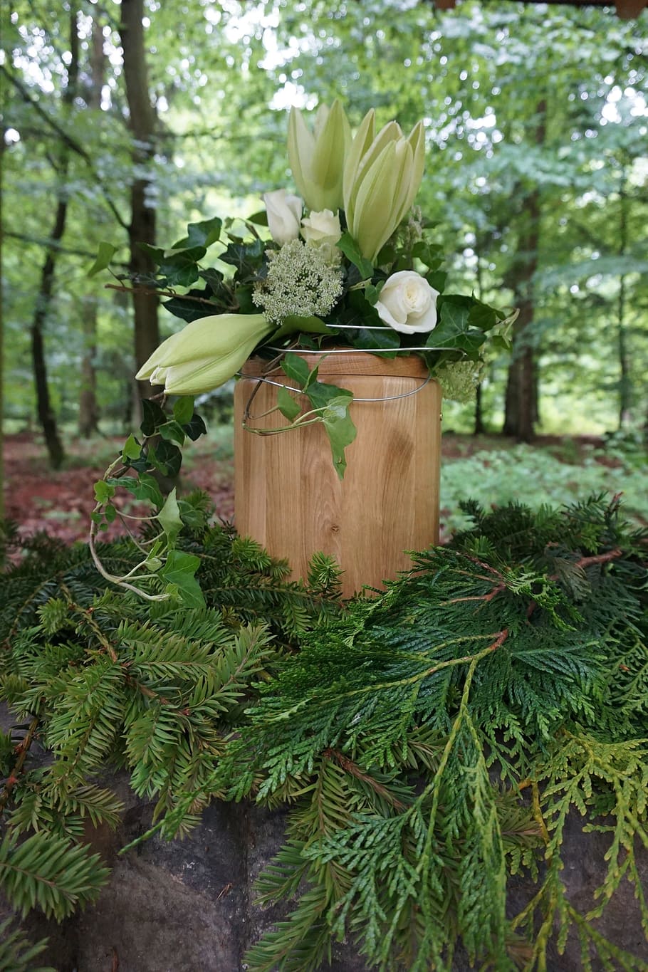 urn, funeral, mourning, forest funeral, tree burial, cemetery