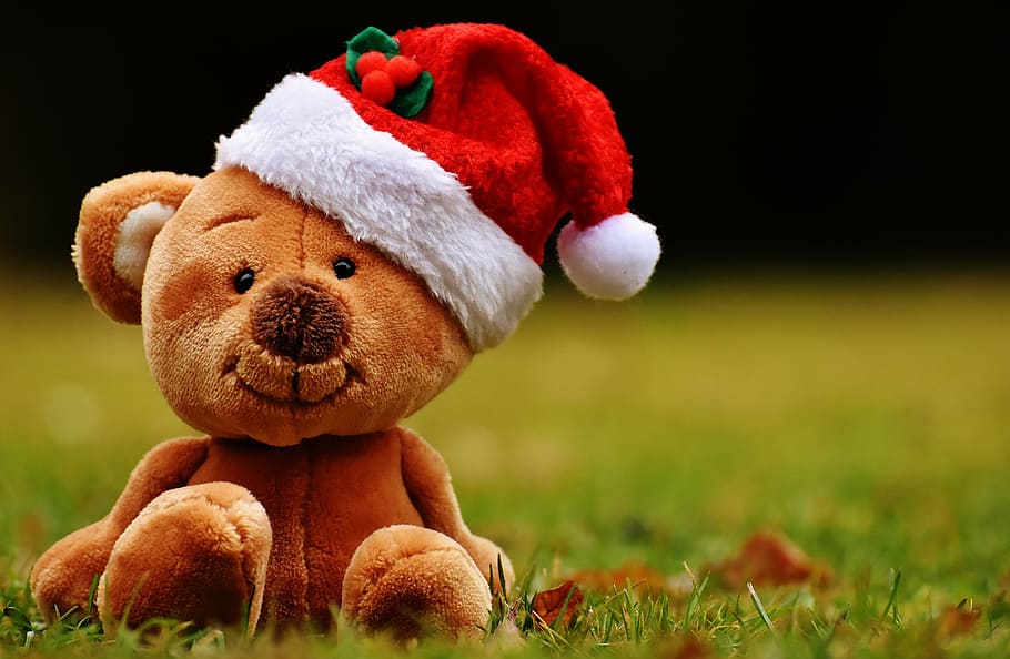 HD wallpaper: christmas, teddy, soft toy, santa hat, funny, teddy Bear,  gift | Wallpaper Flare
