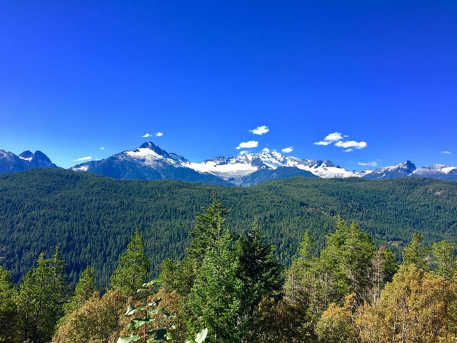 mountain, forest, wilderness, canada, whistler, british columbia HD wallpaper