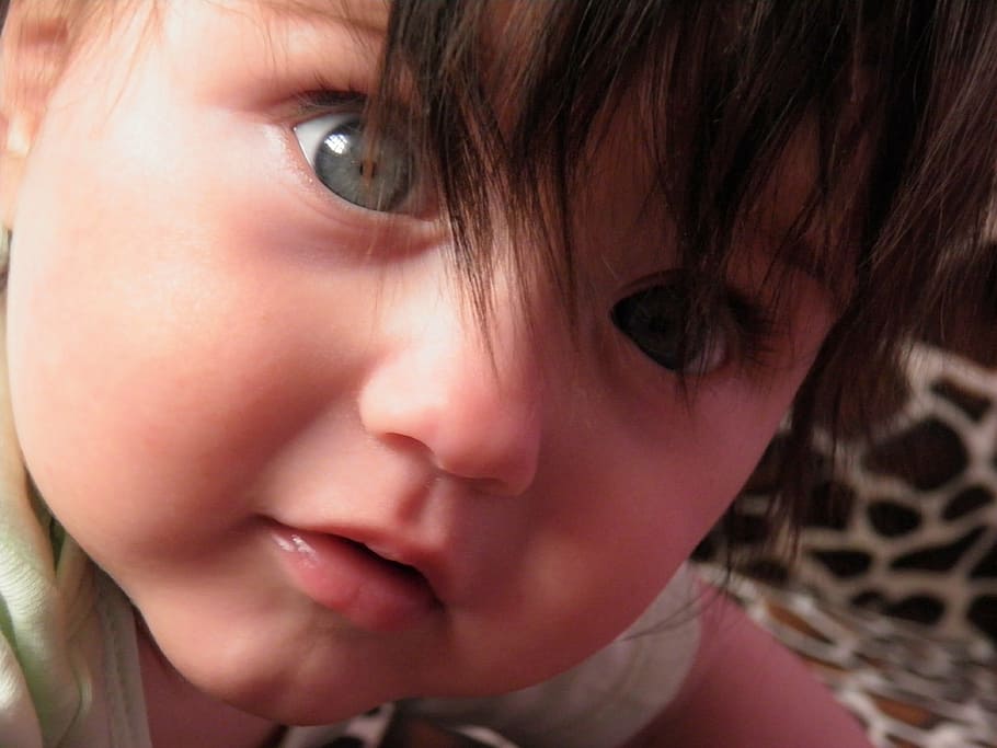 kid, boy, small child, view, person, baby, closeup, portrait HD wallpaper