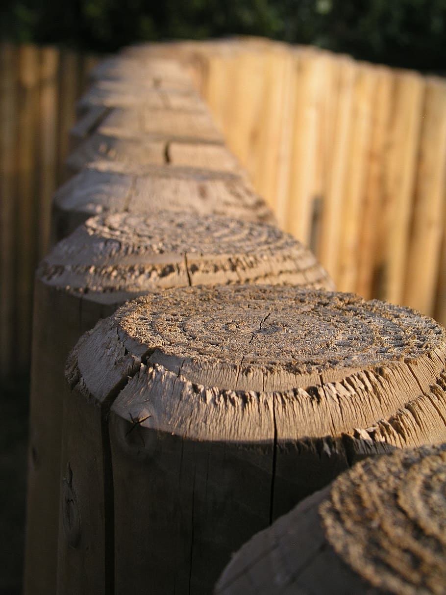 wood, fence, texture, wood - material, no people, close-up HD wallpaper