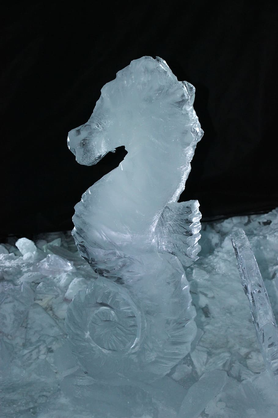 ice, grasshopper, statue, indoors, no people, close-up, white color HD wallpaper