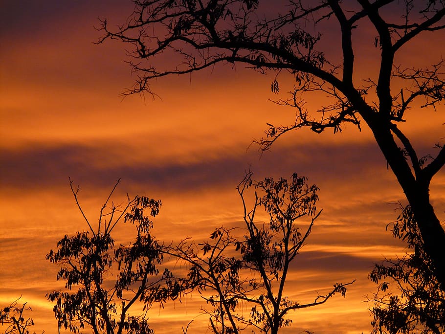 sunset, sky, burn, glow, clouds, afterglow, tree, abendstimmung HD wallpaper