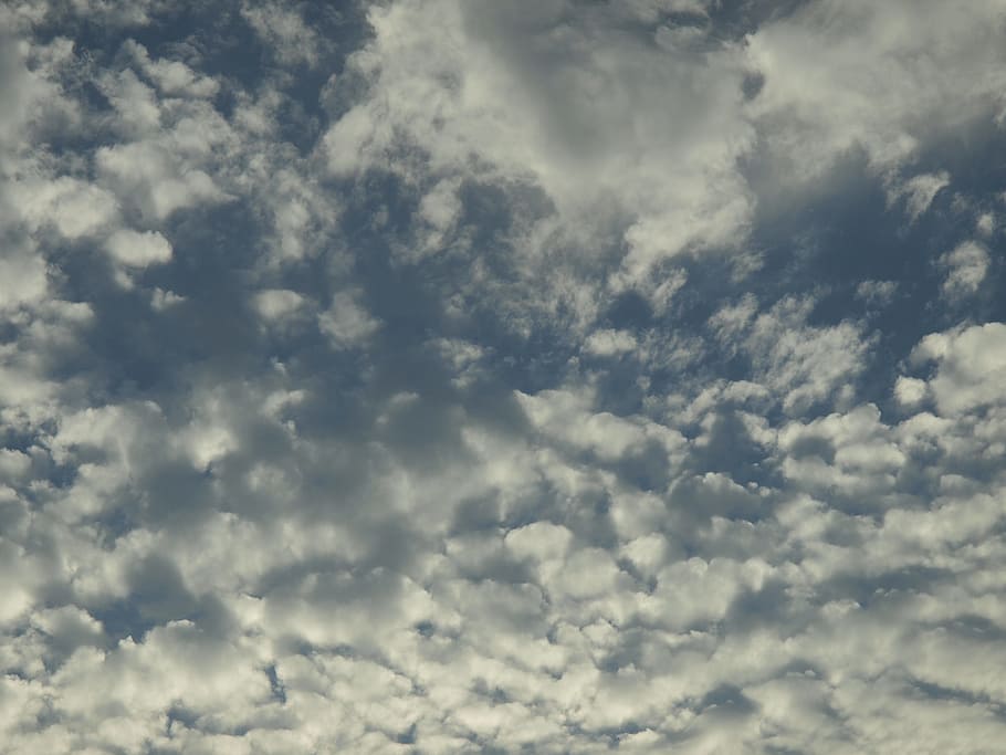 clouds, texture, white clouds, cloud - sky, cloudscape, backgrounds HD wallpaper