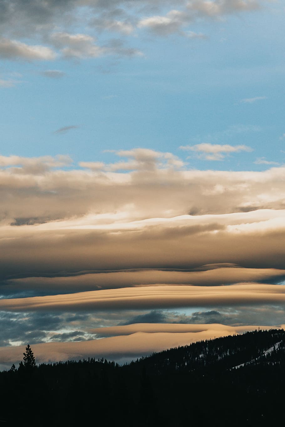 trees under white clouds, silhouette photo of mountain under the cloudy sky HD wallpaper