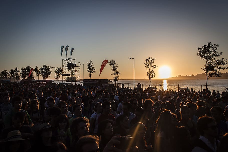 silhouette of people gathering during golden hour, sol, party