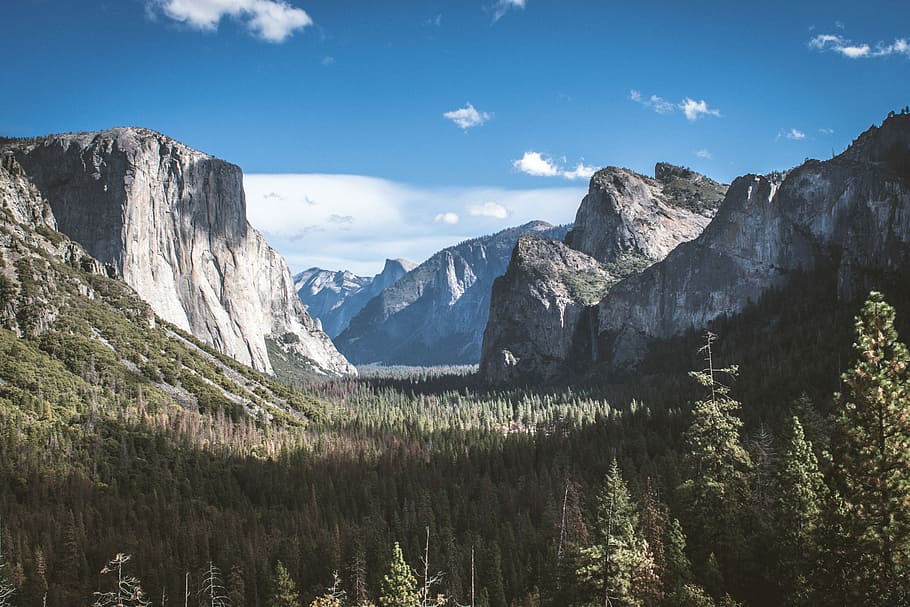El Capitan Yosemite National Park, California, landscape photography of grass field and mountains under cumulus clouds HD wallpaper