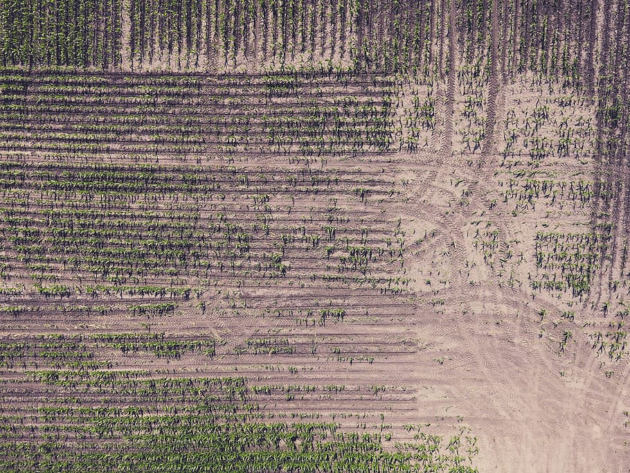 aerial photo of land, farm area, nature, backgrounds, agriculture HD wallpaper