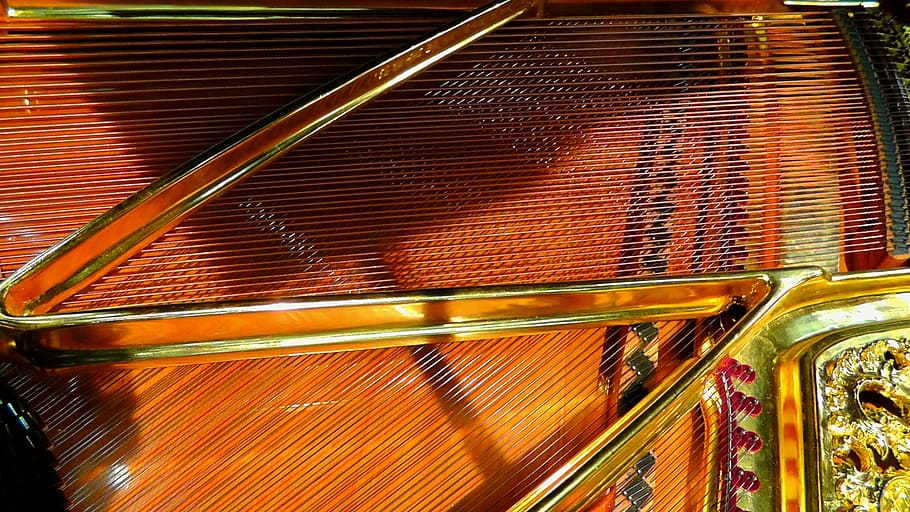 Piano, Strings, Music, piano strings, instrument, play piano HD wallpaper