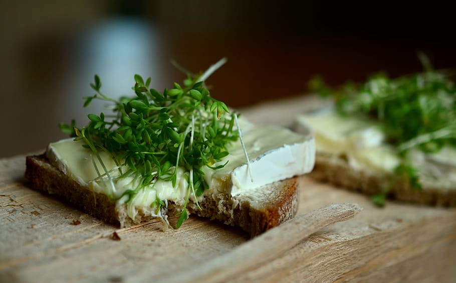 tilt shift photo of bread with butter, cheese and coleslaw on top HD wallpaper