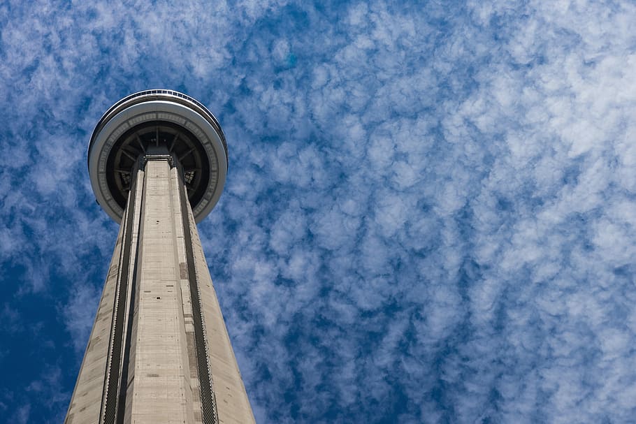 focus photo of CN tower, worms eye view photo of Space Needle HD wallpaper