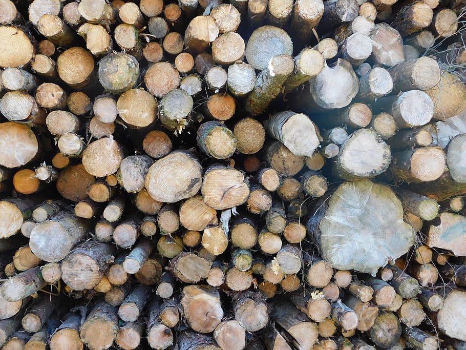 Log, Tree, Lumber, Wood, Industry, timber, nature, forest, forestry HD wallpaper