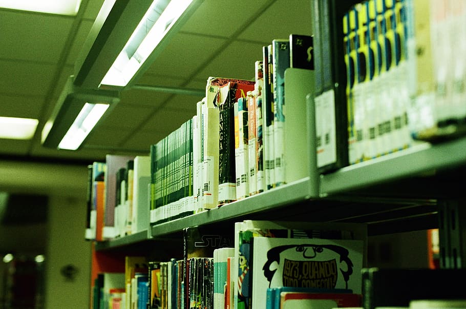 book in bookshelves, book shelf, green light, study, library