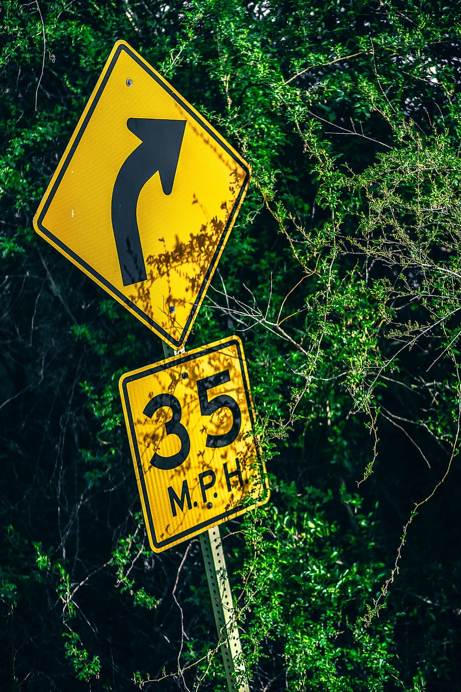 wood, sign, black, caution, law, notice, object, outdoors, post HD wallpaper