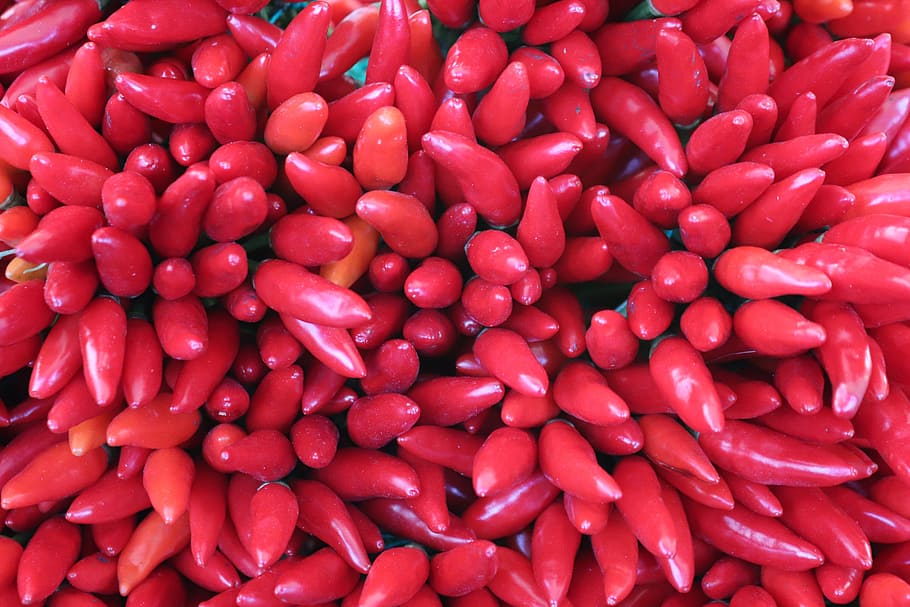 chilli pepper, sharp, spices, food, vegetables, healthy, bless you HD wallpaper