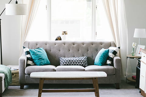 tufted sofa, house, interior, couch, pillow, window, glass HD wallpaper