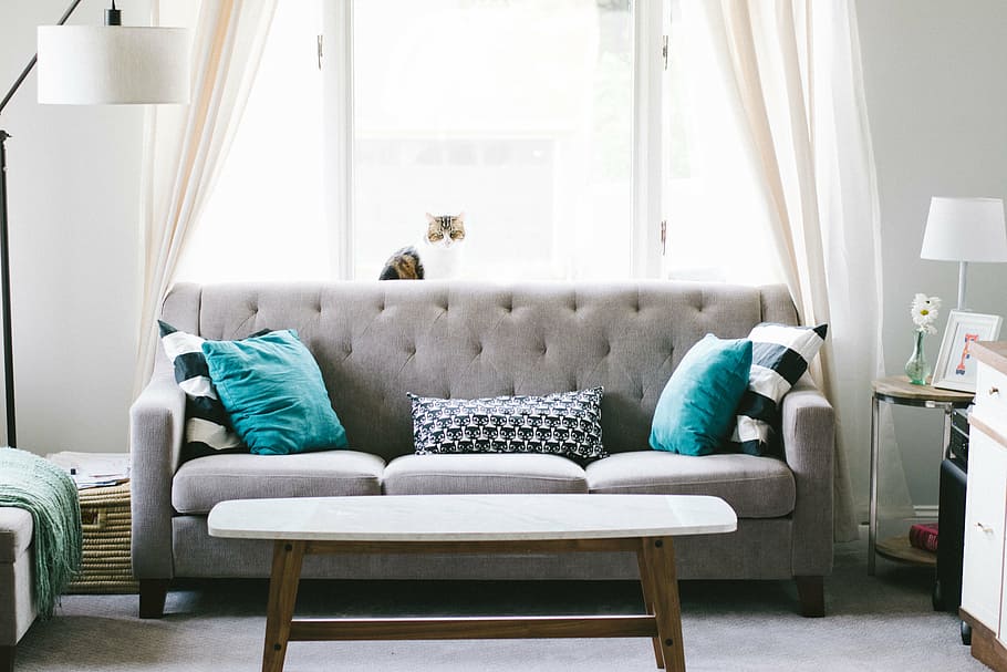 tufted sofa, house, interior, couch, pillow, window, glass HD wallpaper