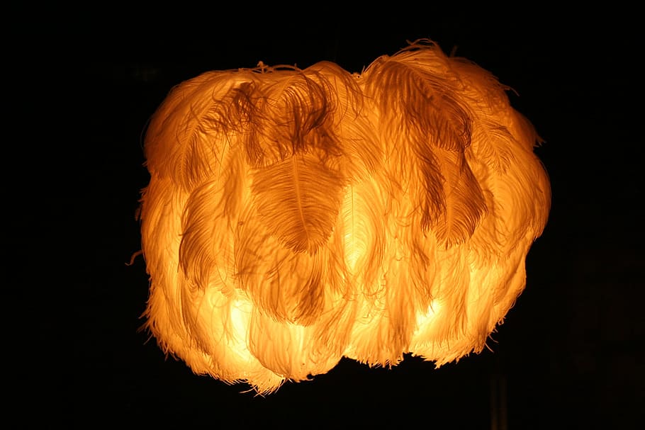 Light, Lamp, Lighting, Feather, heat - temperature, burning HD wallpaper